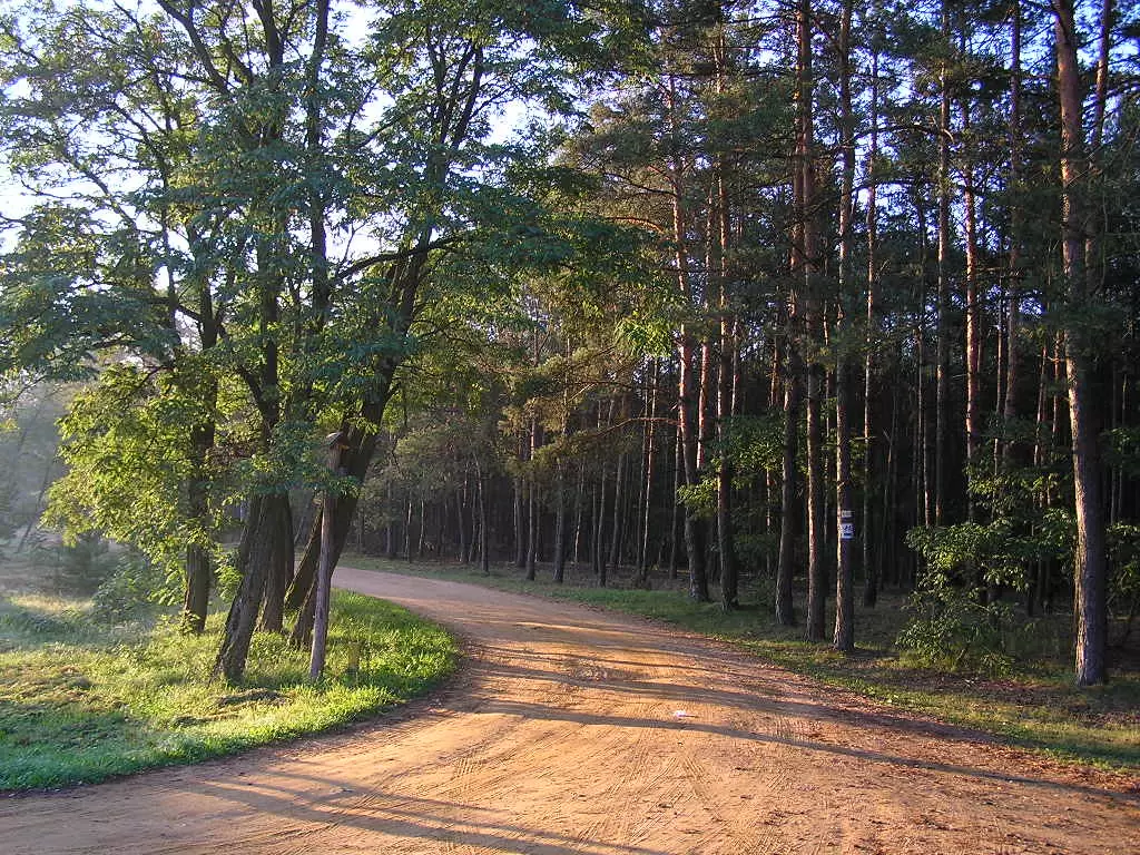 Przestrzenie do organizacji seminari&oacute;w w pobliżu Kampinoskiego Parku Narodowego&nbsp;