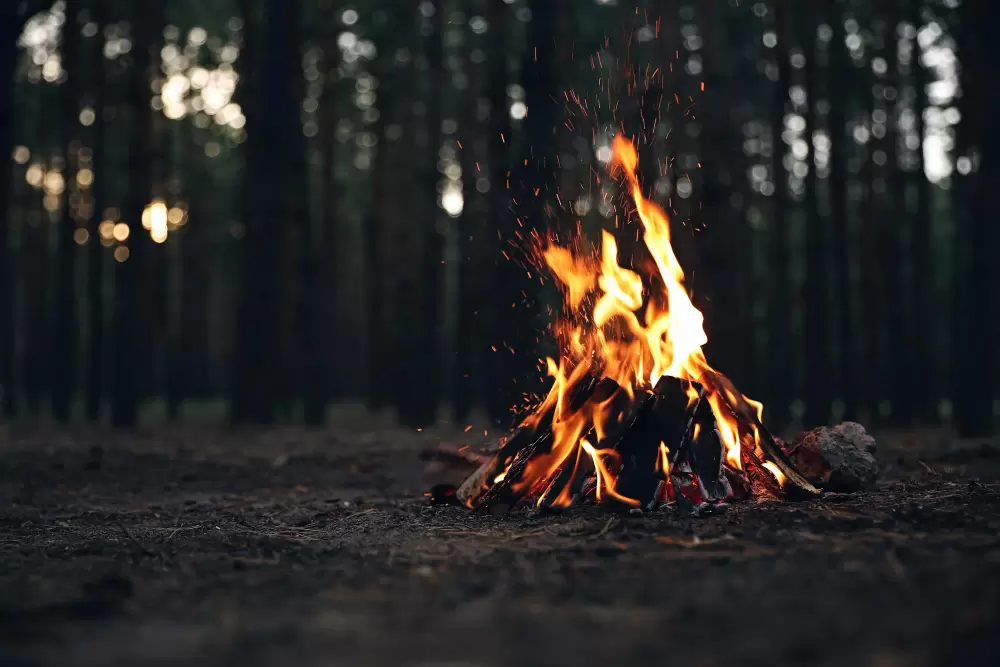 Kt&oacute;re obiekty mogą zorganizować integrację firmowa przy ognisku?&nbsp;
