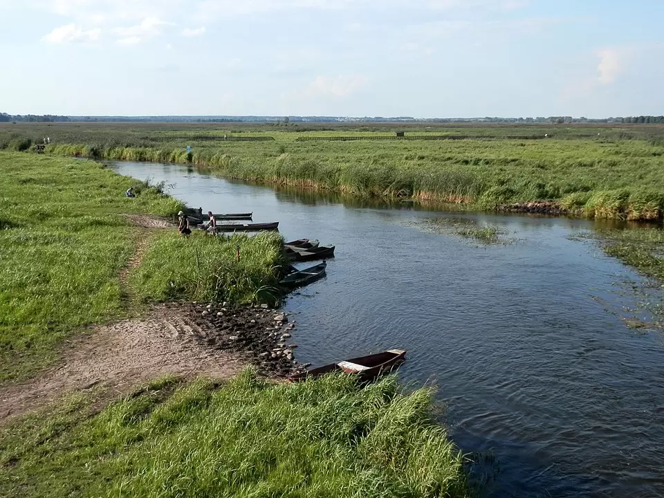 Konferencje blisko Biebrzańskiego i Narwiańskiego Parku Narodowego na wysokim poziomie.