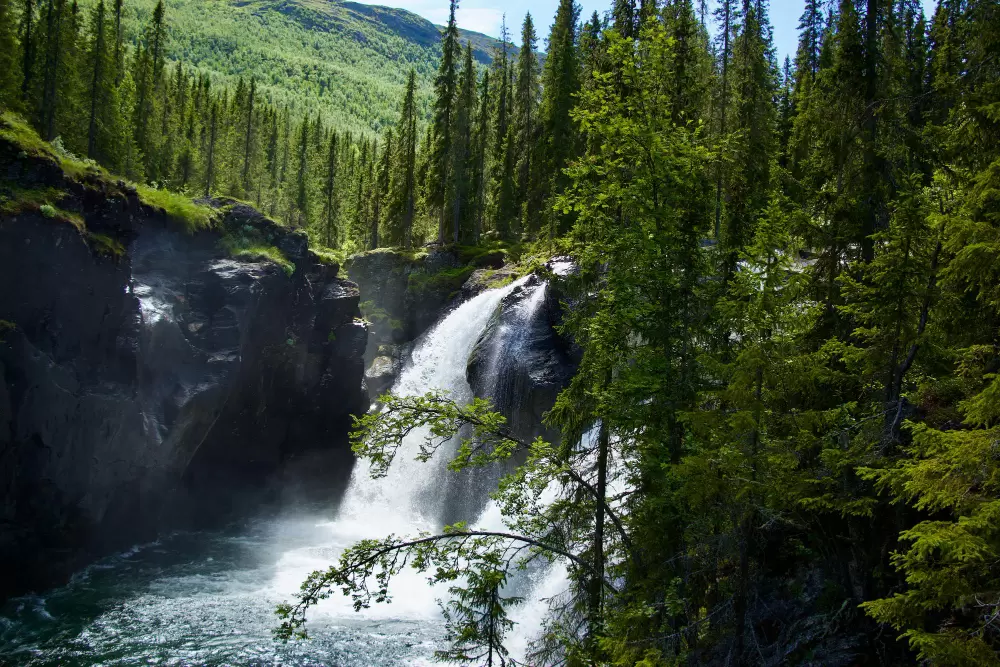 Nowoczesne miejsca na konferencje w pobliżu Babiogórskiego Parku Narodowego