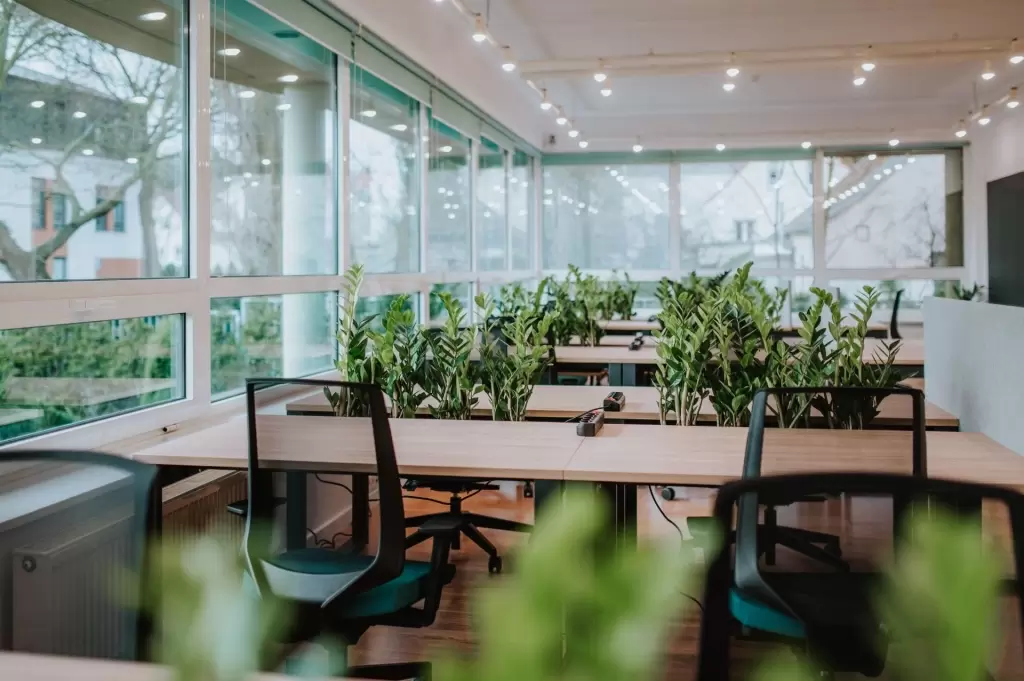 Leśna HUB Coworking